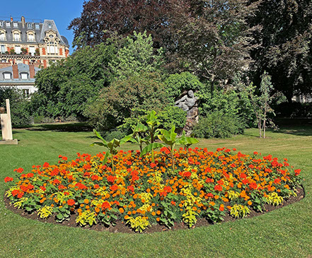 Flowers in Jardin du Luxembourg.